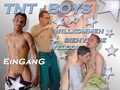 GOLD TNT-BOYS.DE