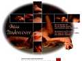 MISS UNDERCOVER