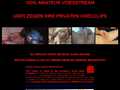 100% AMATEUR VIDEOSTREAM